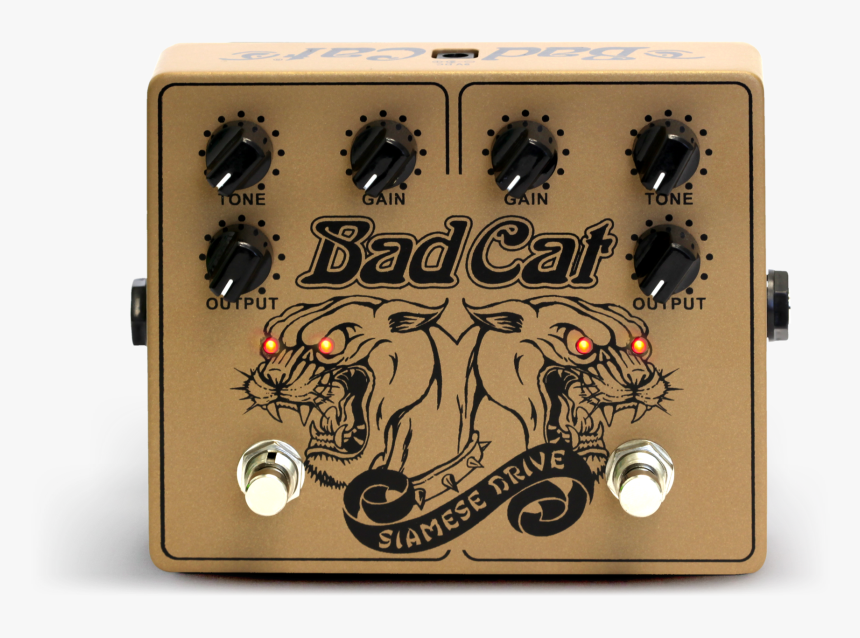 Bad Cat Siamese Drive, HD Png Download