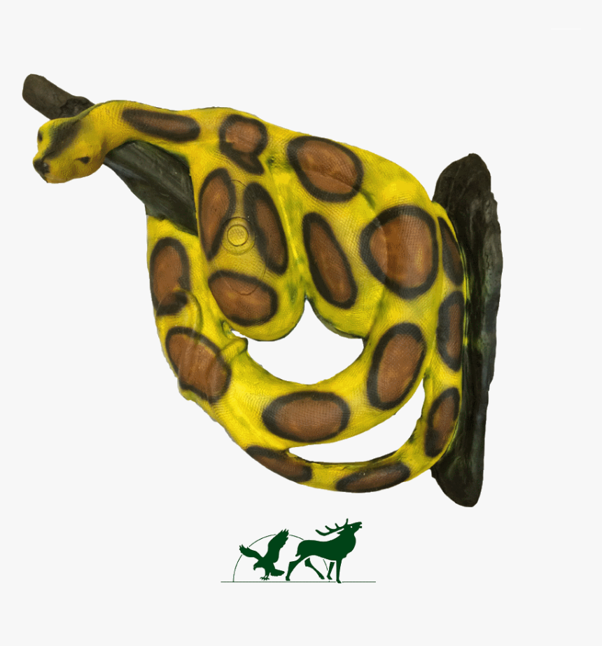 Leitold 3d-target Boa Constrictor Light Green - Frog, HD Png Download