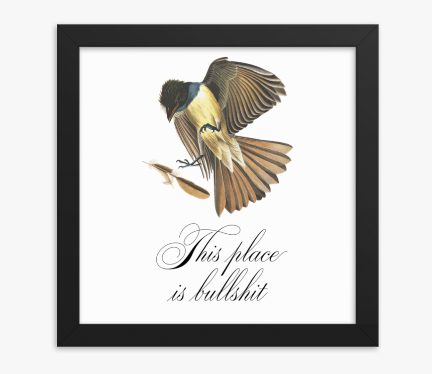 This Place Is Bullshit Framed 
 Srcset Data - Scrub Jay, HD Png Download