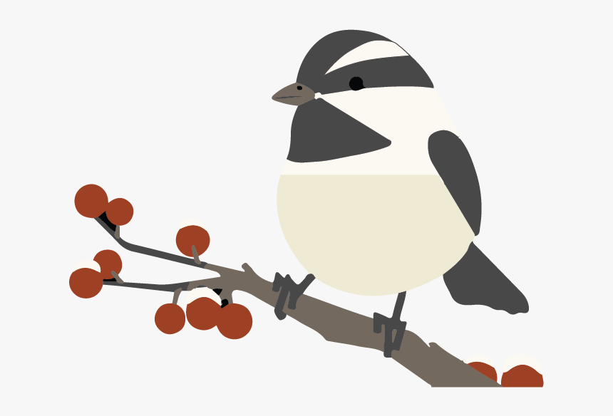 Chickadeeonbranch 01 01 - Adã©lie Penguin, HD Png Download