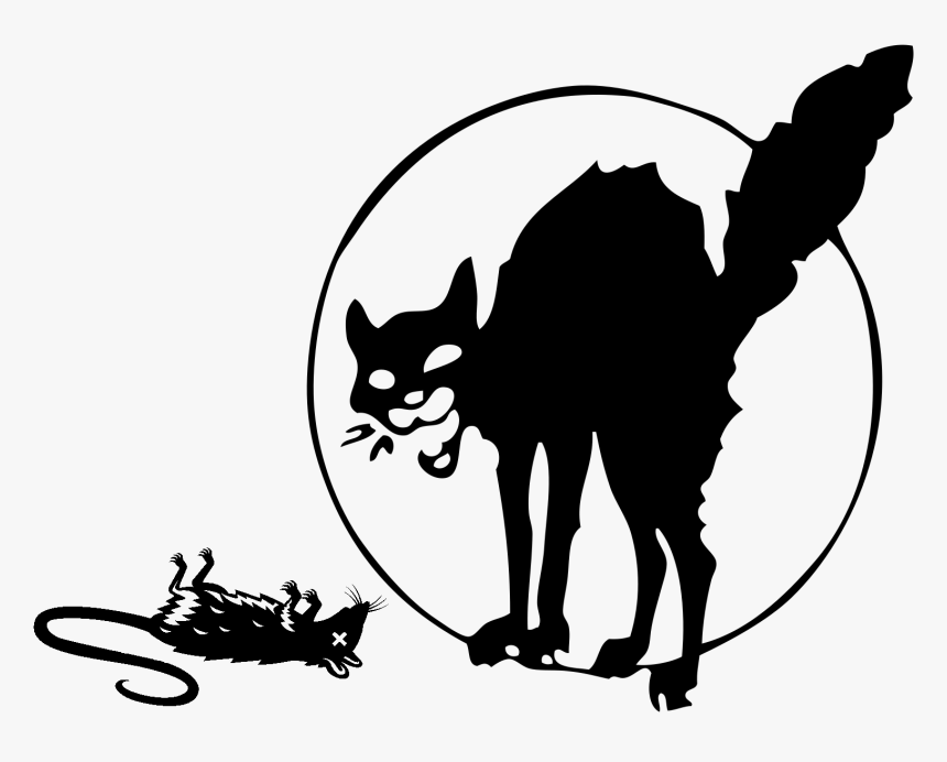 Anarchist Black Cat Tattoo, HD Png Download