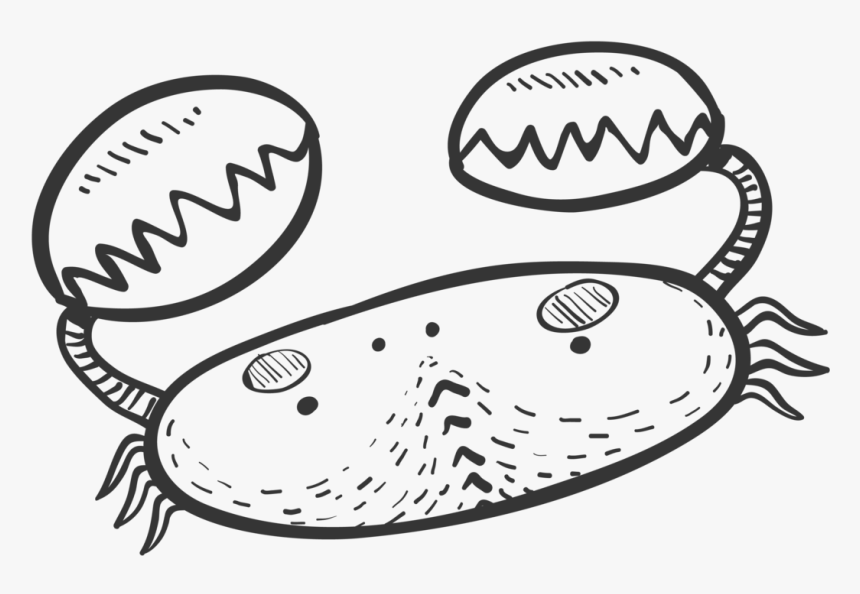 Cancer Zodiac Sign Custom Cover Engraving - Drawing, HD Png Download