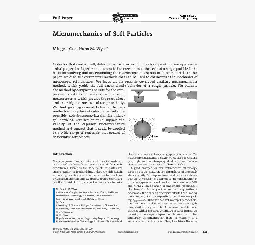 Document, HD Png Download