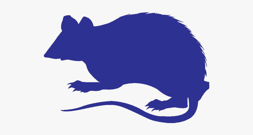Rodent/ Wildlife - Pest Control, HD Png Download