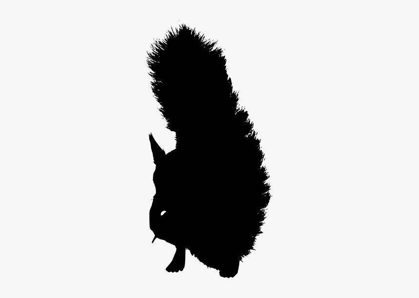 Rodent, HD Png Download