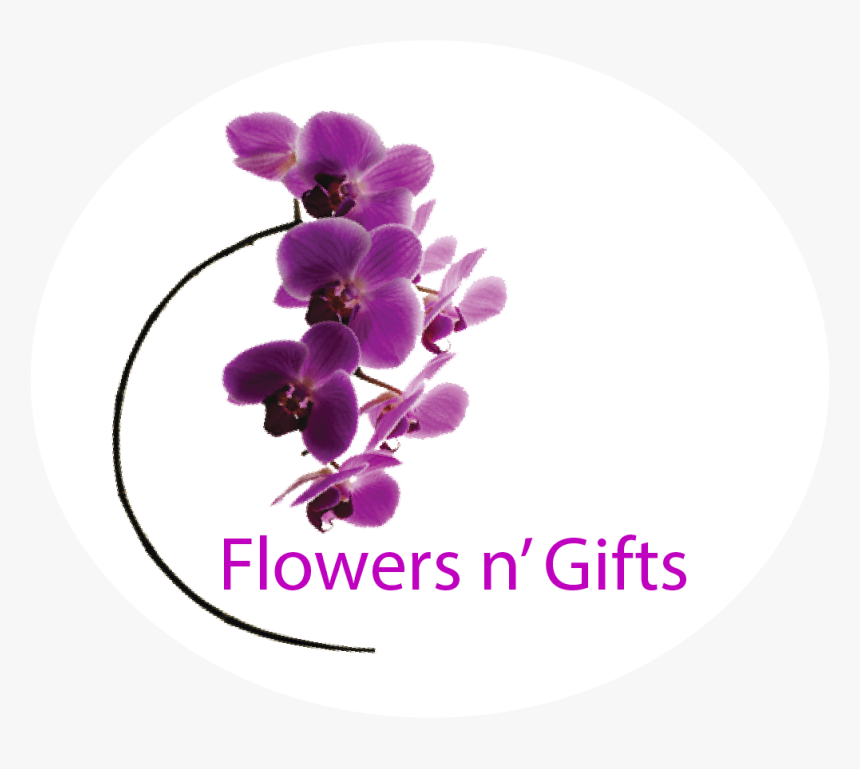 Orchids, HD Png Download