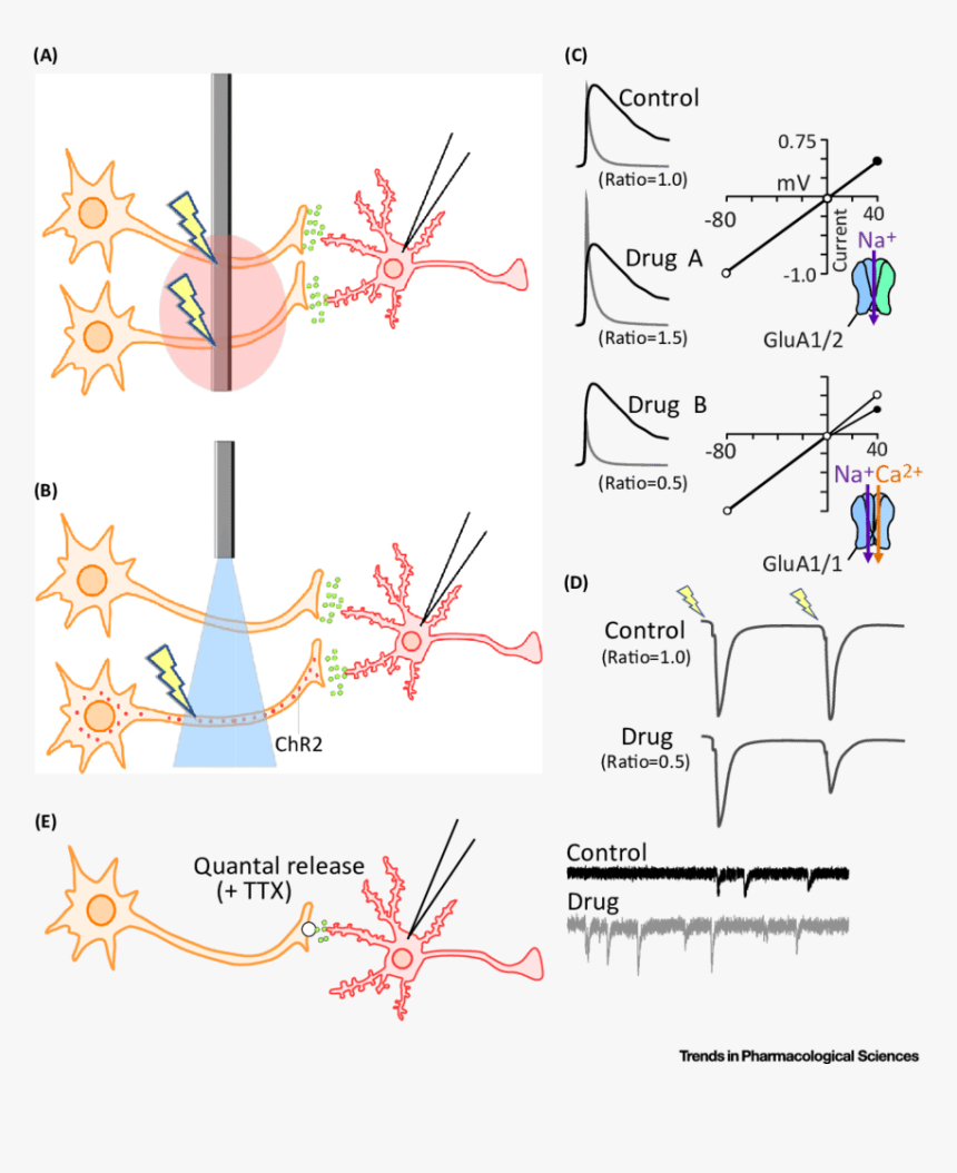 Graphic Design, HD Png Download