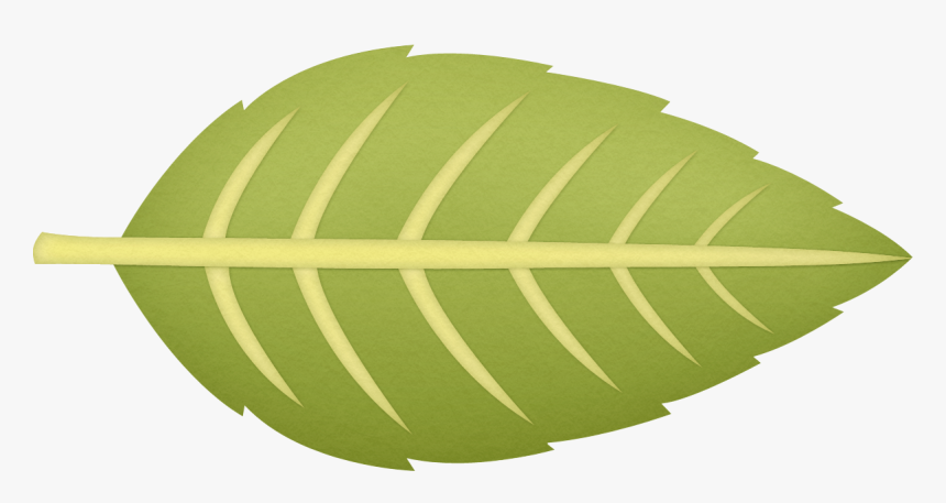 Circle , Png Download - Circle, Transparent Png