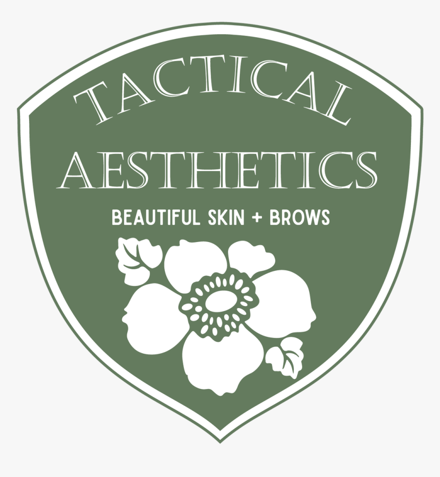 Aesthetics In Education, HD Png Download