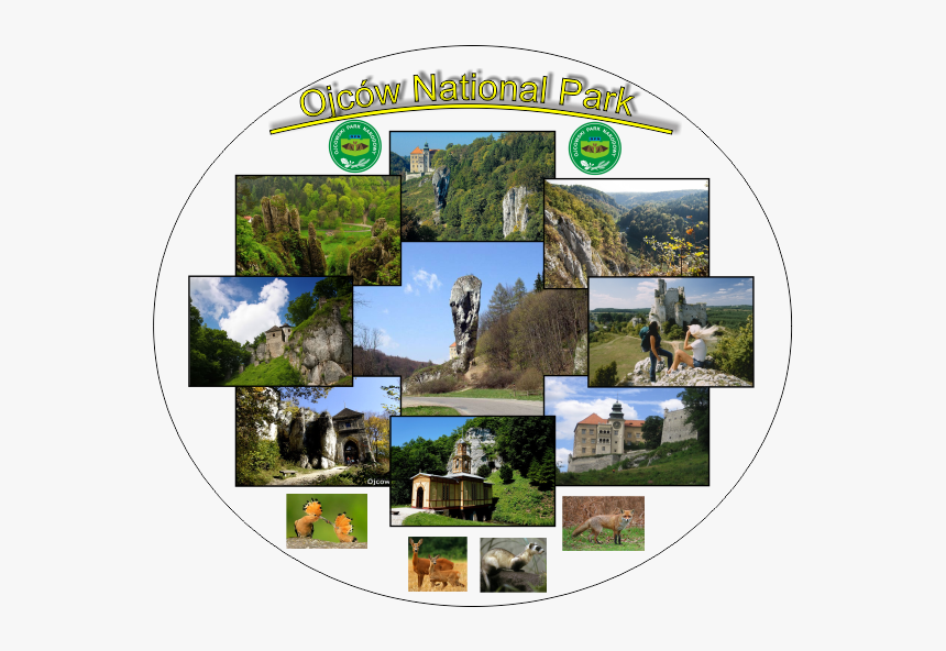 Świętokrzyski Park Narodowy, HD Png Download