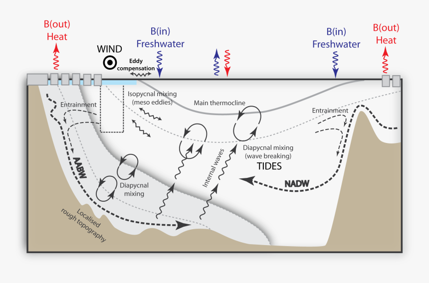 Moc Drivers Cartoon - Carbon Isotopes Ocean Circulation, HD Png Download