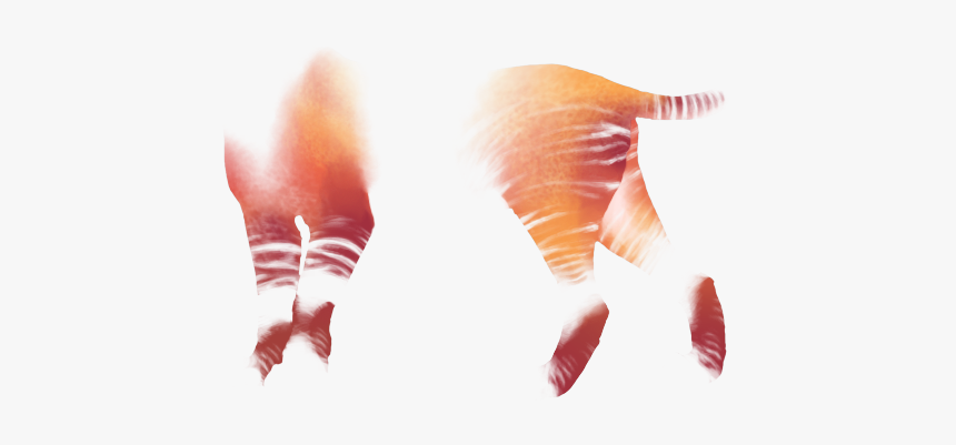 Close-up, HD Png Download