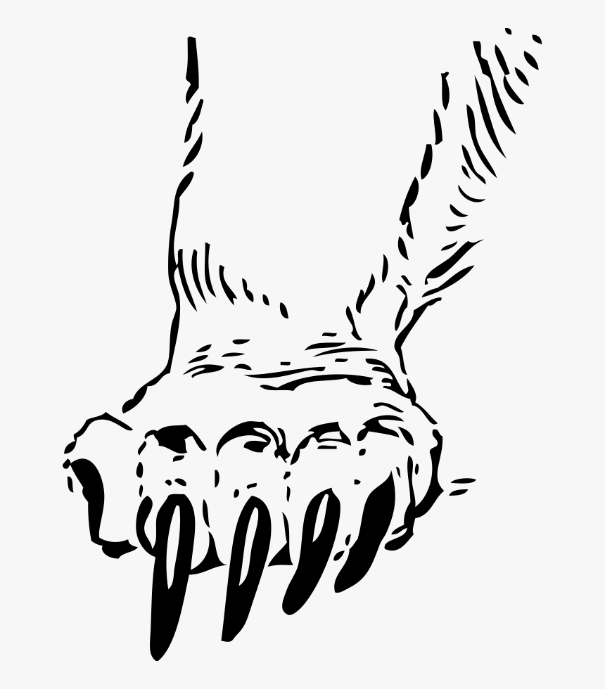 Bear Paw Outline - Paw Clipart Black And White, HD Png Download
