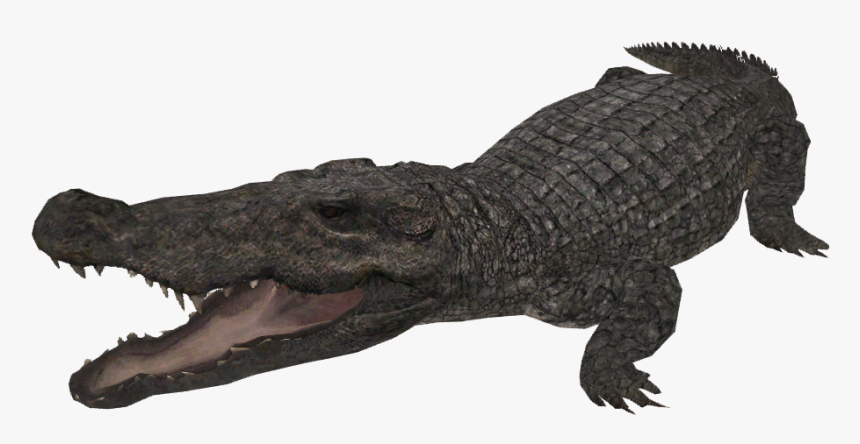 Snap Mugger Crocodile Creatures Of The World Wikia - Zt2 Mugger Crocodile, HD Png Download