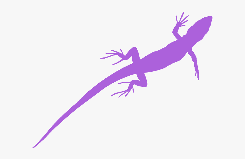 Iguania, HD Png Download