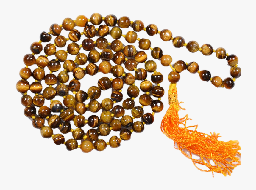 Peacock - Illustration, HD Png Download