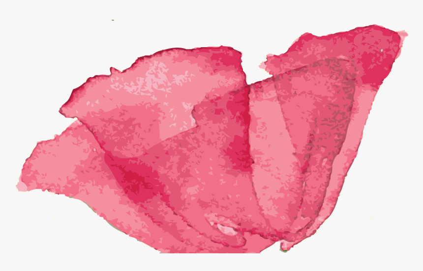 Rose, HD Png Download