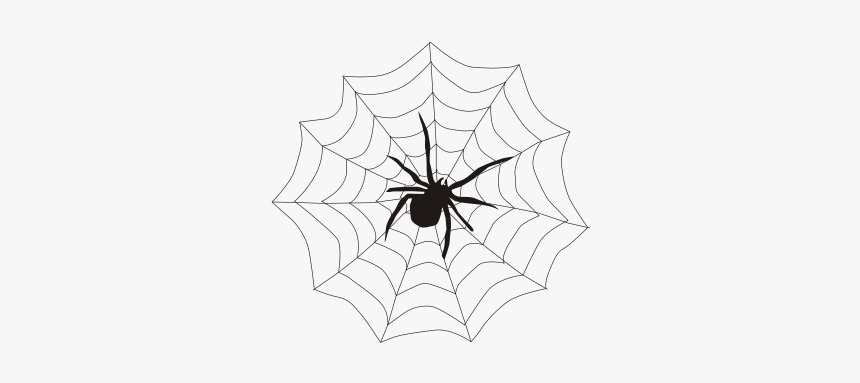 Spider & Web Svg Clip Arts - Spider Web, HD Png Download