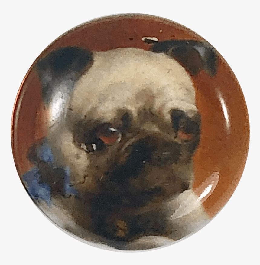 Pug, HD Png Download