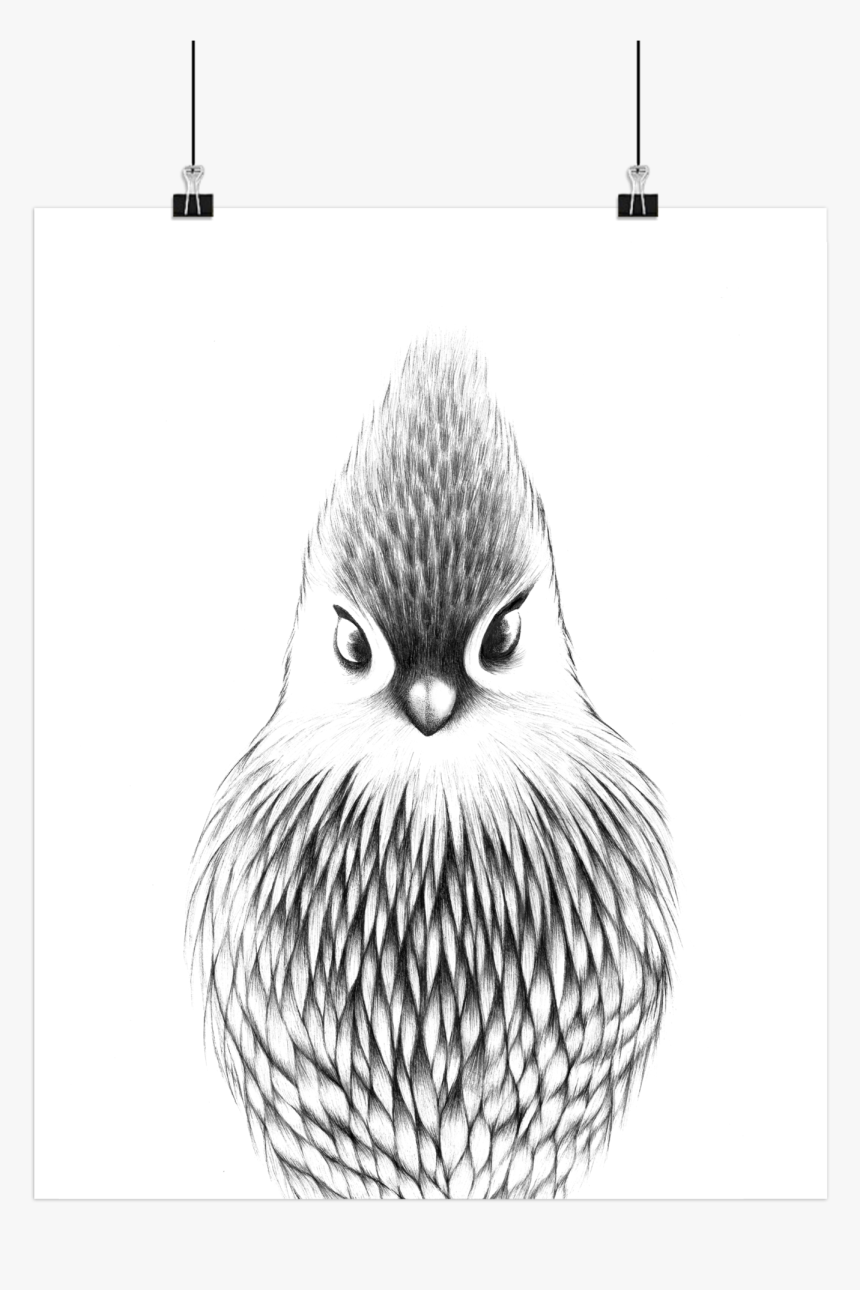 Sketch, HD Png Download