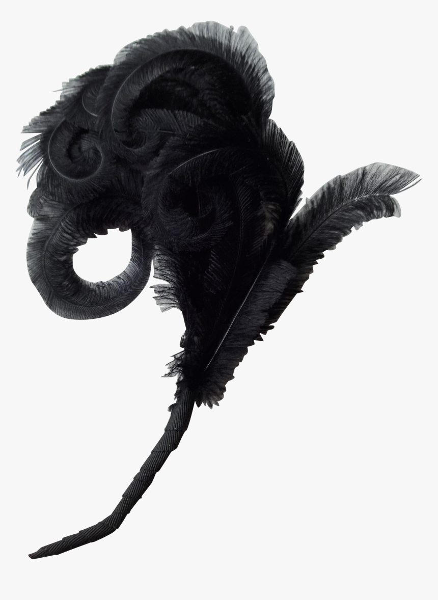 Transparent Feathers Victorian - Victorian Feather Plume, HD Png Download