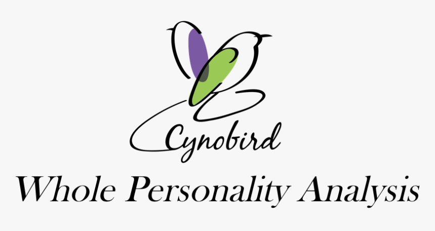 Logo-personality - Calligraphy, HD Png Download