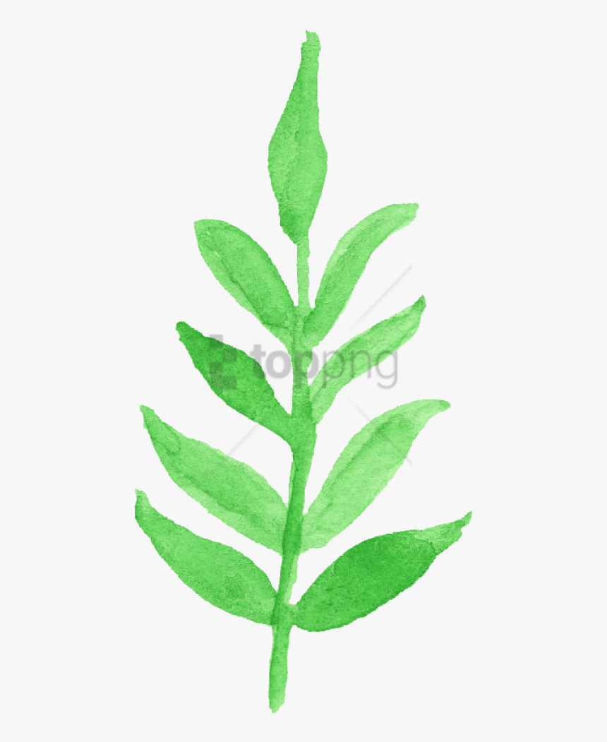 Free Png Download Watercolor Leaf Transparent Png Images - Animated Leaves Transparent Watercolour, Png Download