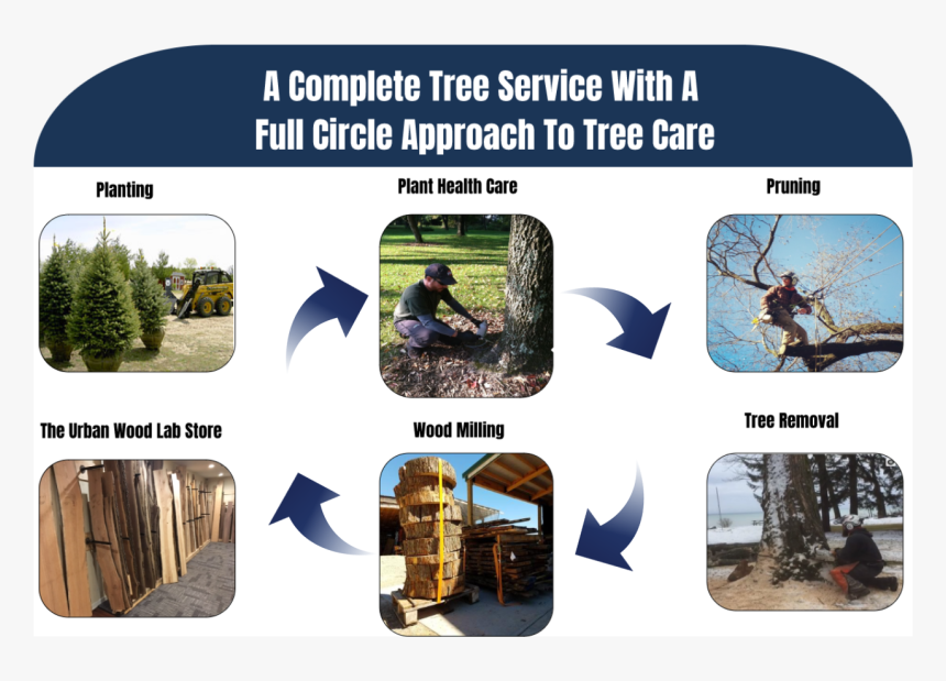 Design - Commercial Motor, HD Png Download