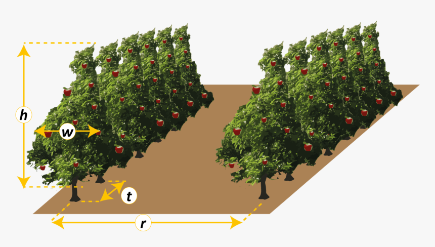 Christmas Tree, HD Png Download