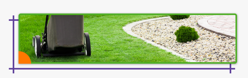 Lawn, HD Png Download