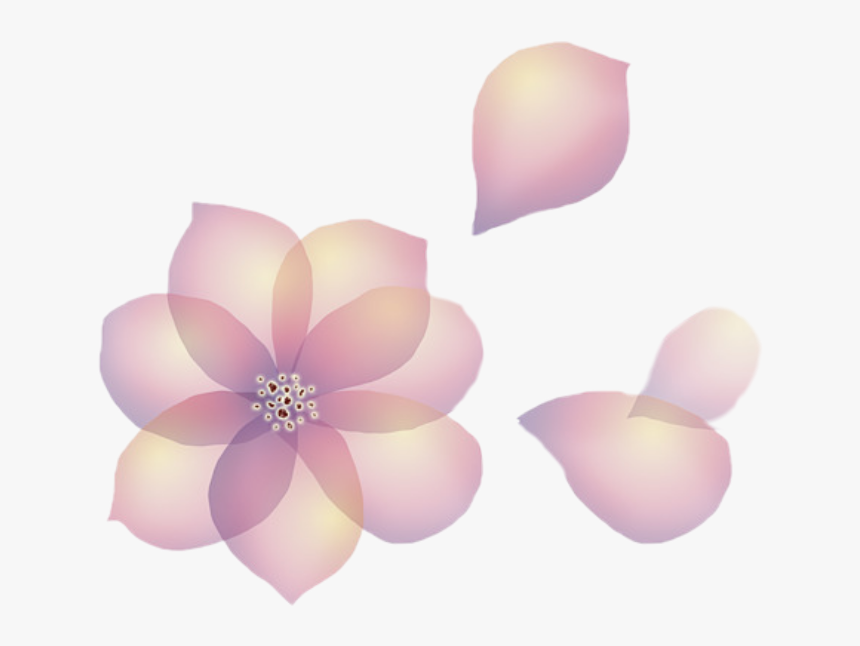 Flowers Petals Transparent Floating Aesthetic - Flower, HD Png Download
