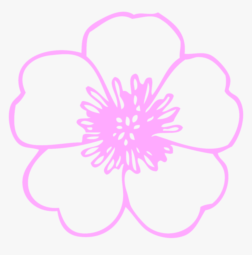Flower Outline Image Png, Transparent Png