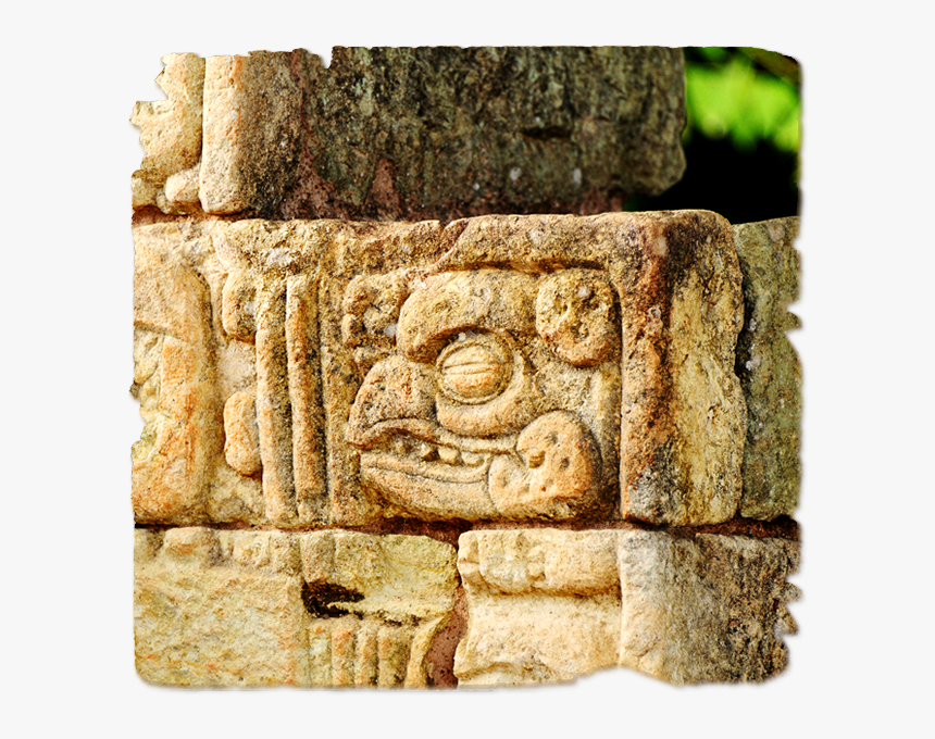 Carving, HD Png Download