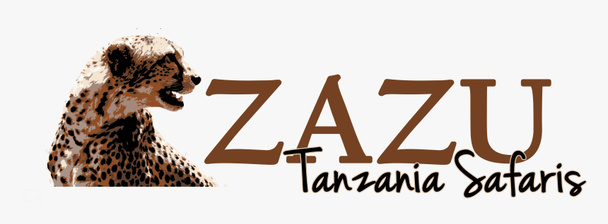 Cheetah, HD Png Download