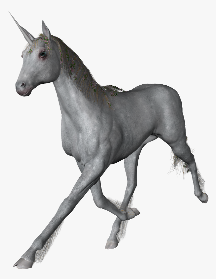 Unicorn Png Image - Portable Network Graphics, Transparent Png