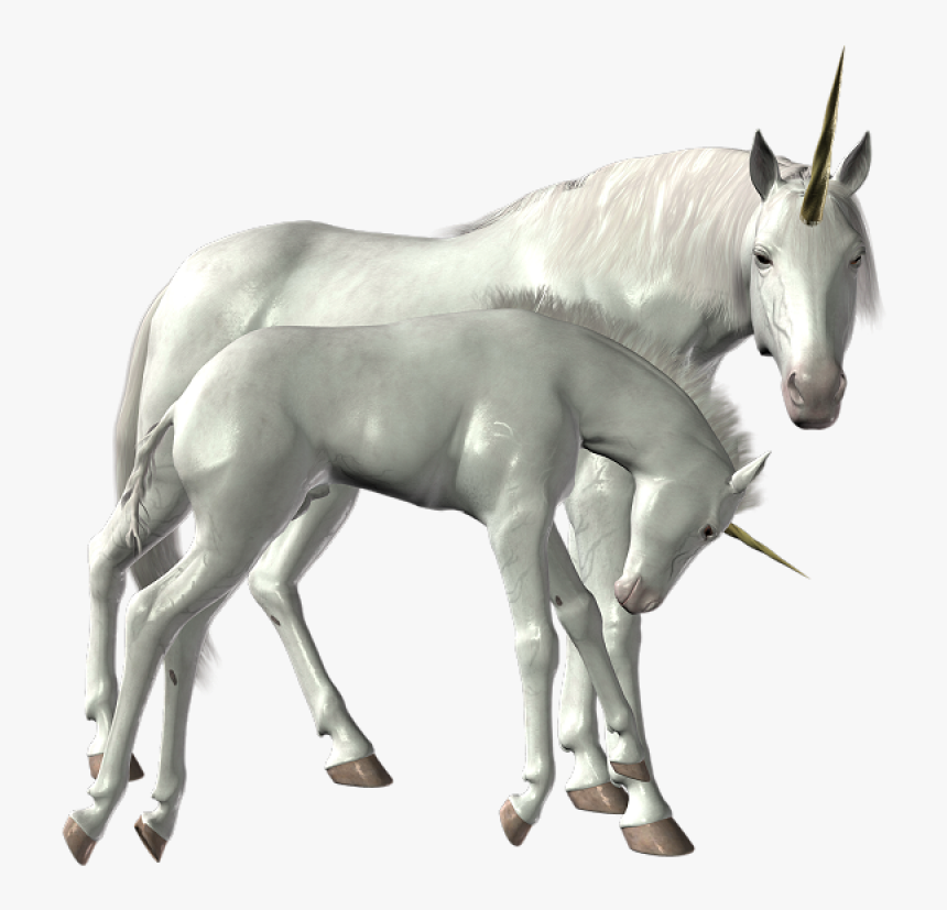 Unicorn Png Image - Deviantart Unicorn Png, Transparent Png