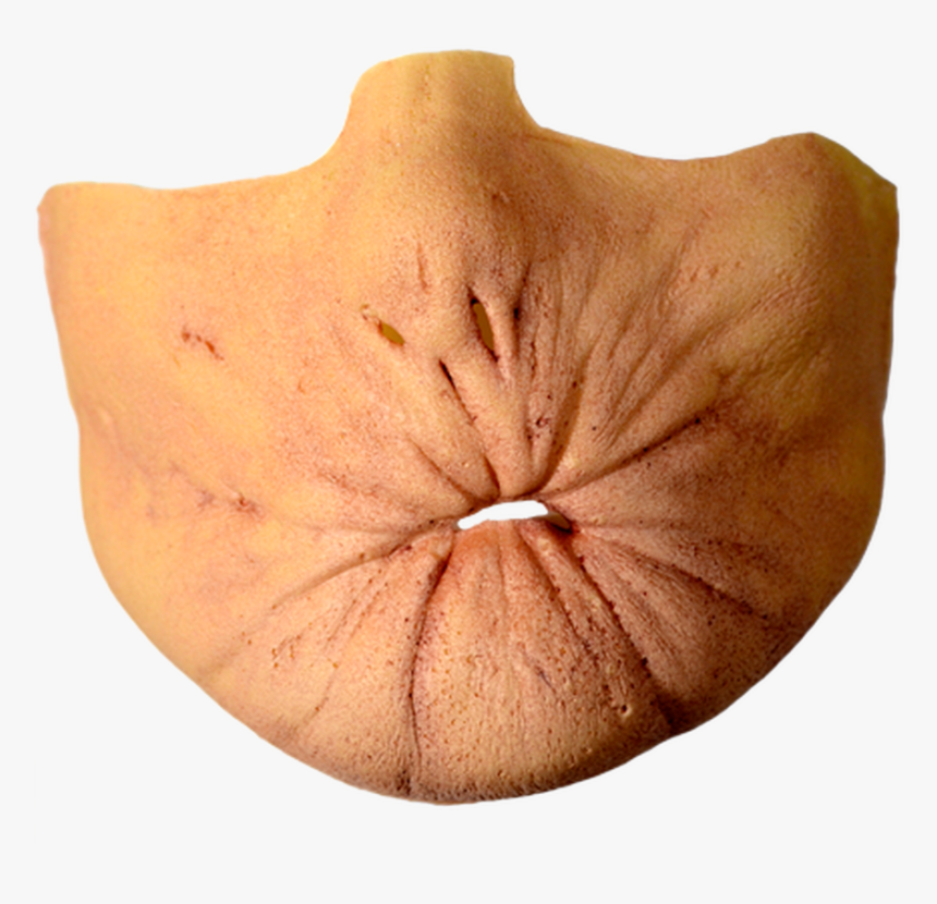 Arseface Costume, HD Png Download