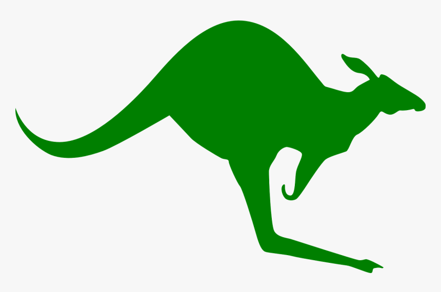 Kangaroo Clip Art, HD Png Download
