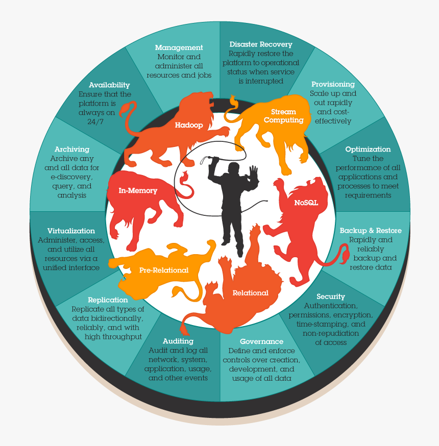 Data Tameming, HD Png Download