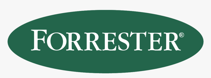 Colchester Castle, HD Png Download