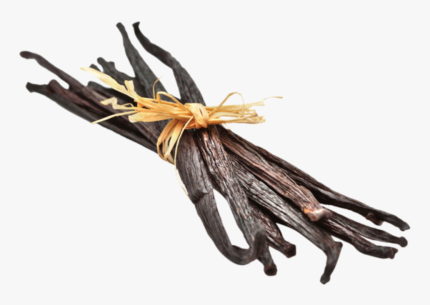 Aromae Vanilla Oleoresin - Vanilla Bean Png, Transparent Png