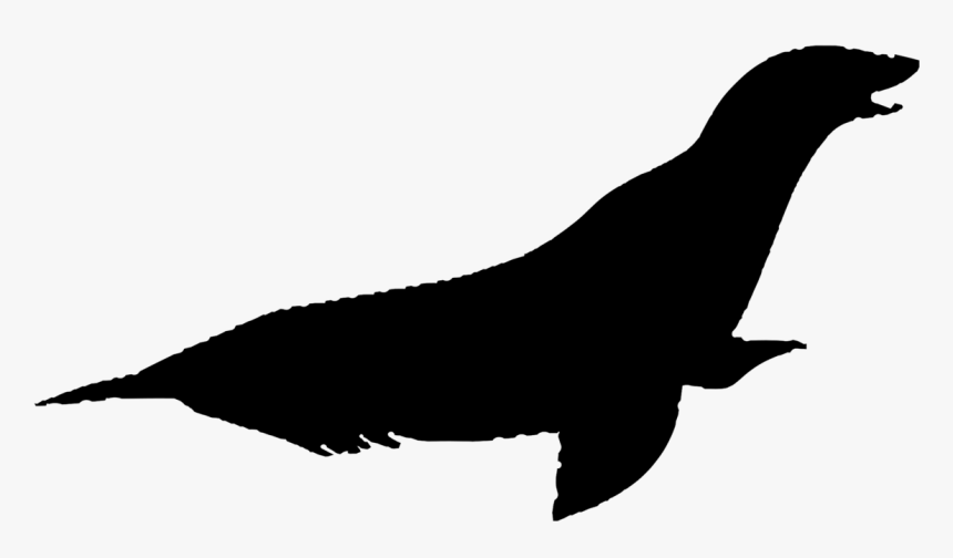 Silueta Lobo De Mar, HD Png Download