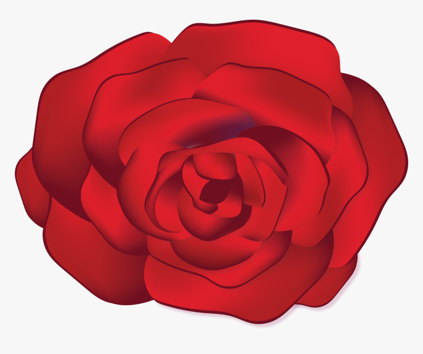 Japanese Camellia, HD Png Download