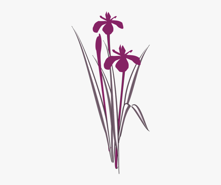Simple Iris Clip Art, HD Png Download