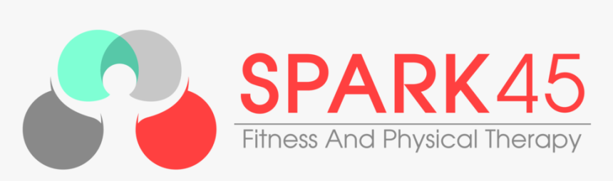 Spark 45 Final Logo - Circle, HD Png Download