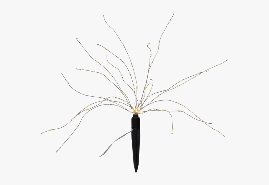 Solar Decoration Firework Solar - Desert Palm, HD Png Download