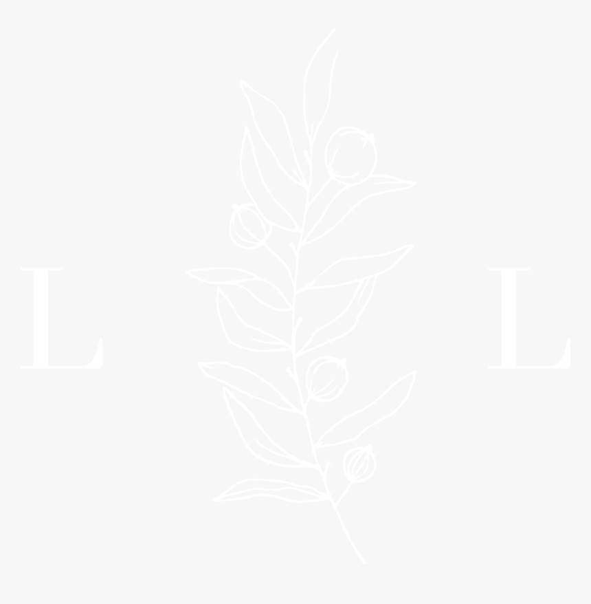 Logo 3 - White - Jhu Logo White, HD Png Download