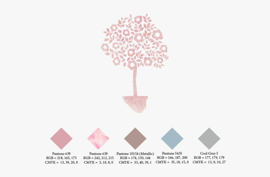Branding Brandboard Photography Family - Illustration, HD Png Download