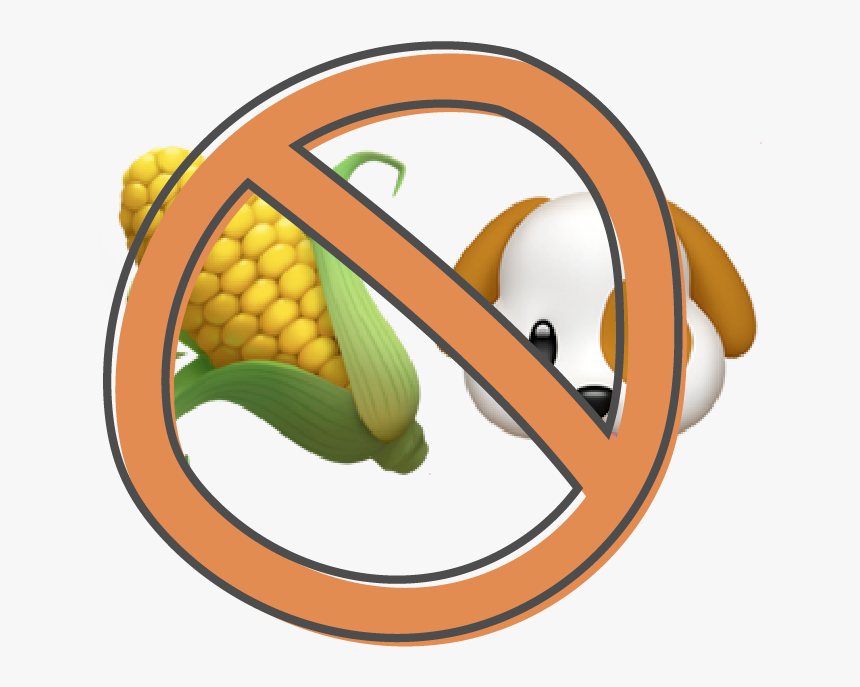 Corn Dog Png, Transparent Png