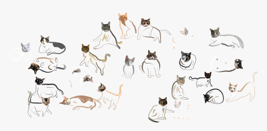 Cartoon, HD Png Download